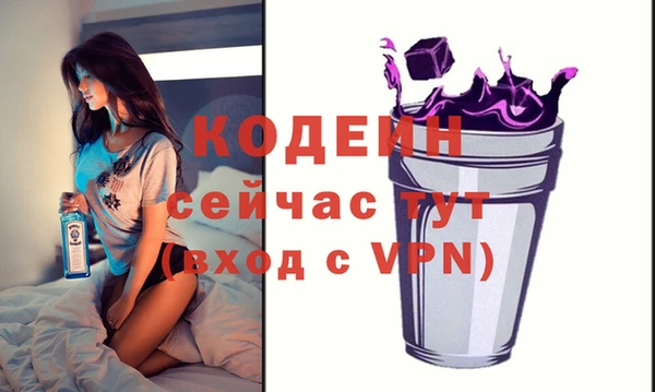 шишки Абаза