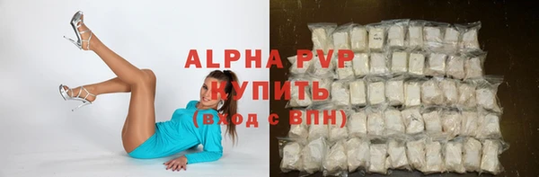 шишки Абаза
