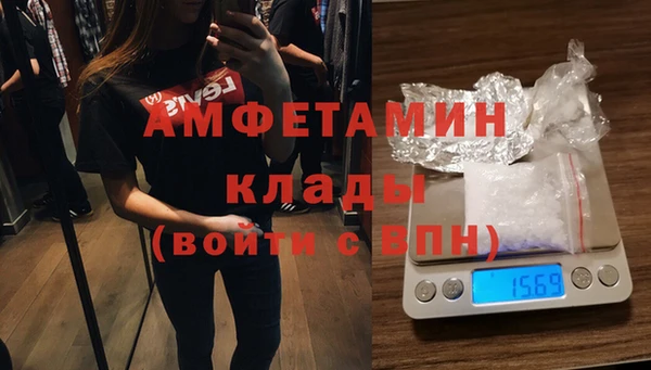 шишки Абаза