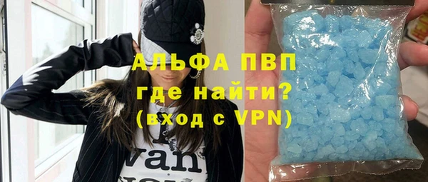 шишки Абаза