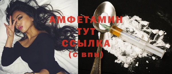 шишки Абаза