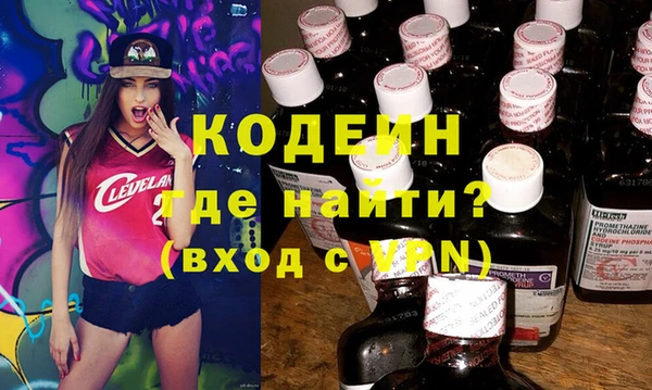шишки Абаза
