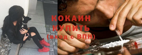 шишки Абаза