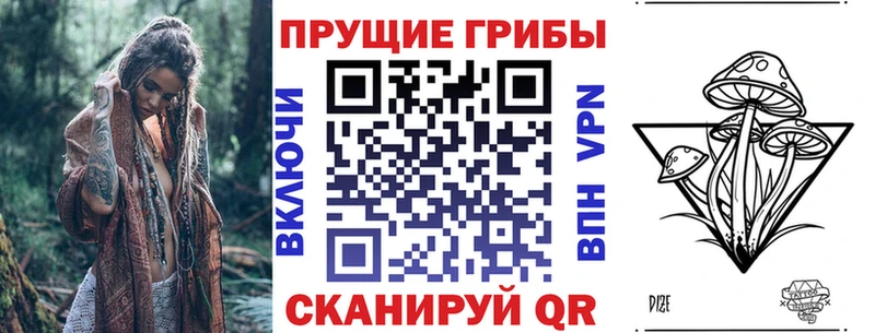 Псилоцибиновые грибы Psilocybe  магазин  наркотиков  Торопец 